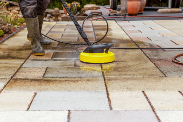 Best Solar Panel Cleaning  in Franklinville, NJ